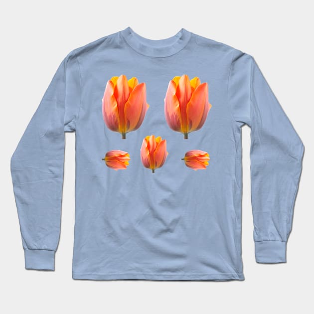 tulips Long Sleeve T-Shirt by chrisburrows